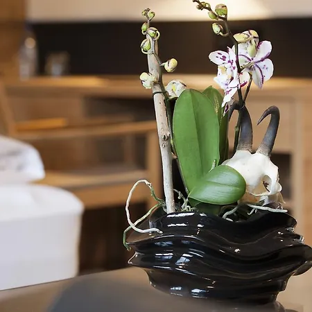 Boutique Gams 호텔 4*