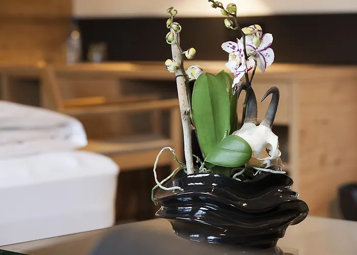 Boutique Gams Hotel 4*